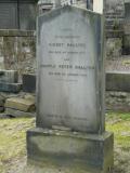 image of grave number 256007